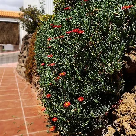Nuevo Apartamento, Vistas Al Mar Y Amplia Terraza 公寓